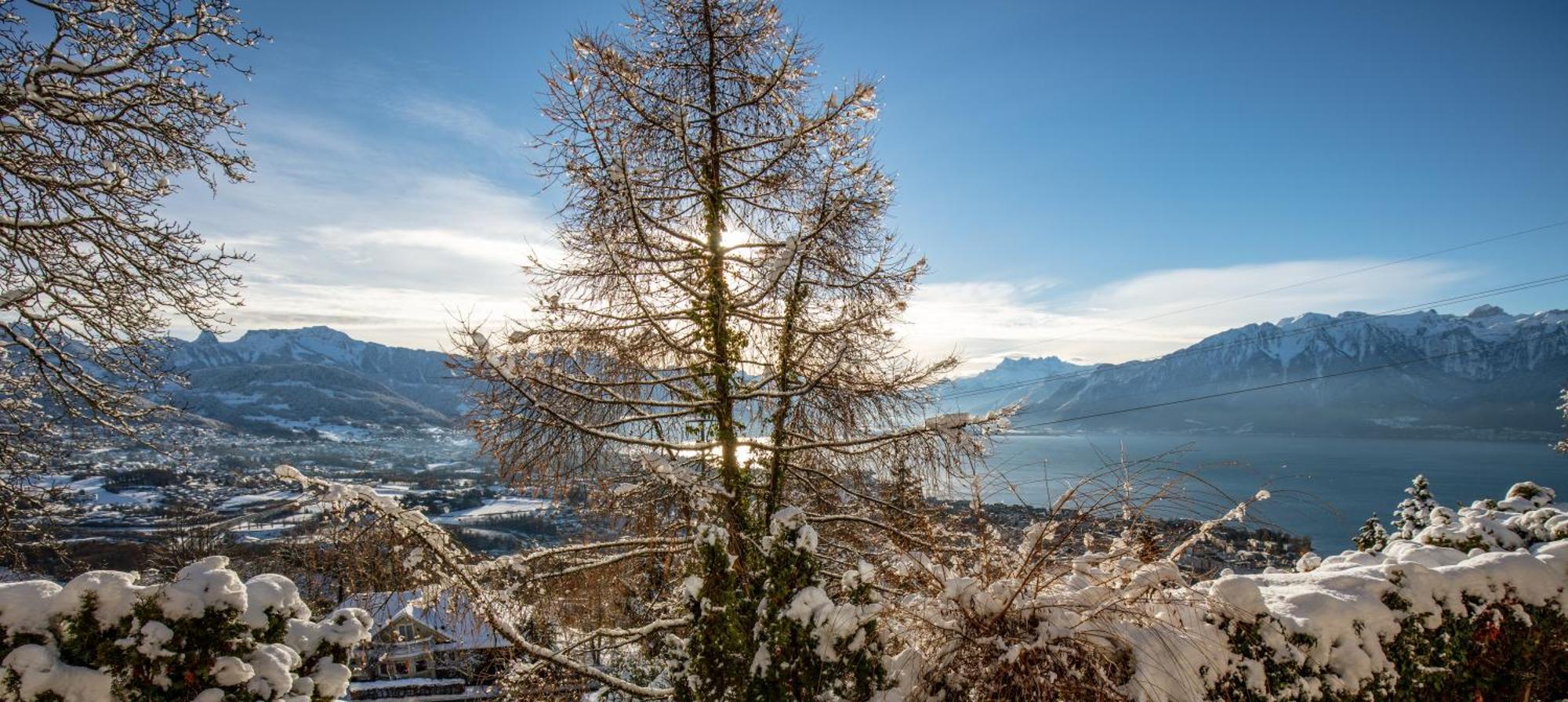 Le Toit De Chardonne - Entre Alpes Et Lac Leman Zewnętrze zdjęcie